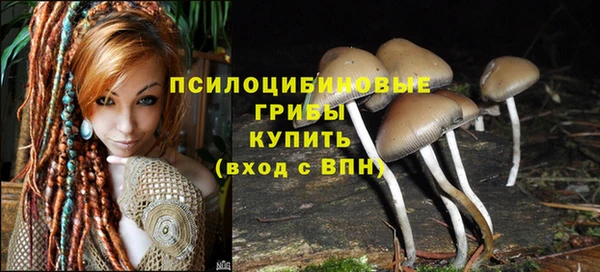 марки nbome Аркадак
