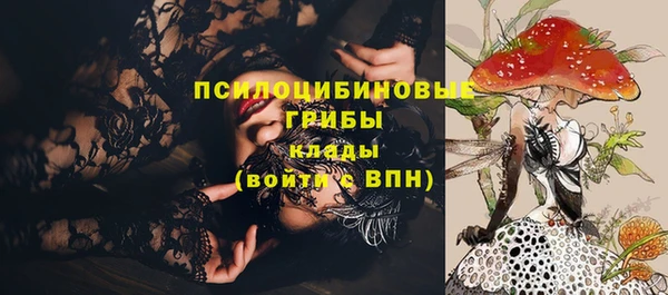 бошки Арсеньев