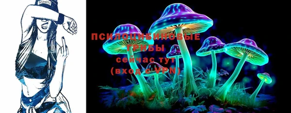 бошки Арсеньев